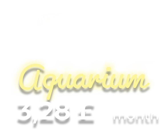 monthly cost of aquarium