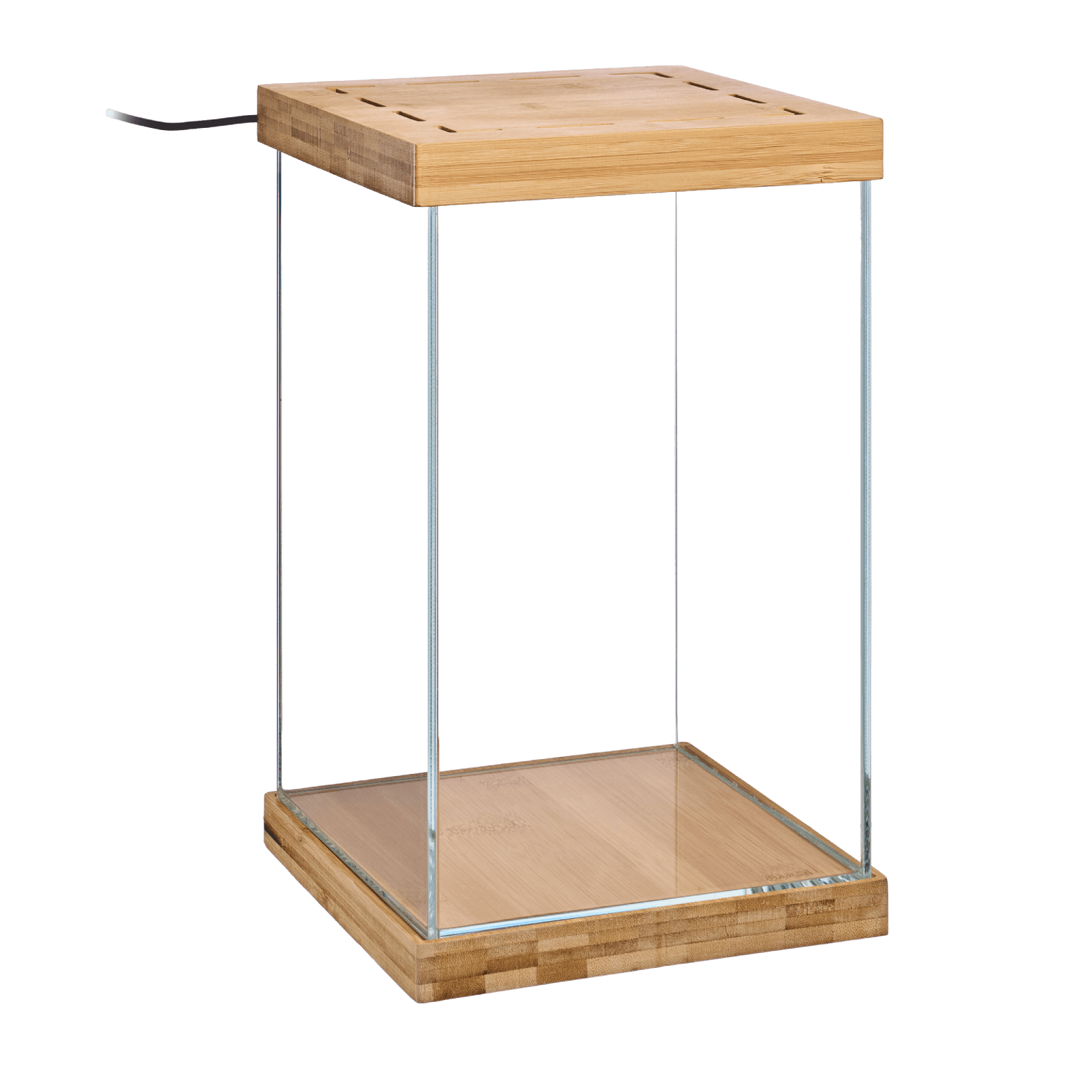 Selva Mini Terrarium
