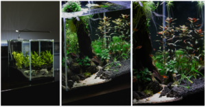 Dwie nano akwaria typu kostka o&nbsp;pojemności 30 litrów ustawione w&nbsp;rzędzie obok siebie, przedstawiające różne aranżacje aquascapingowe