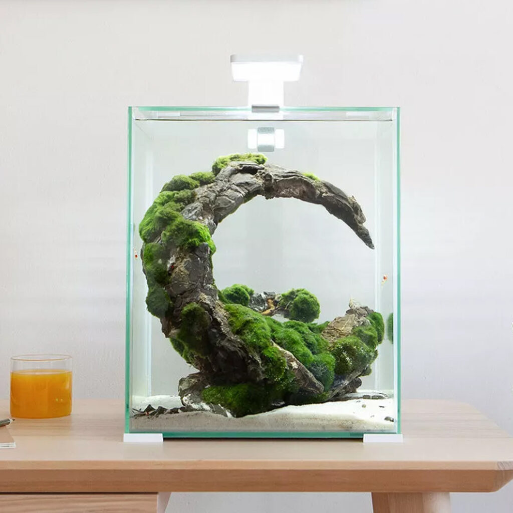 Nano akwarium z&nbsp;kamienną aranżacją stojące na biurku.