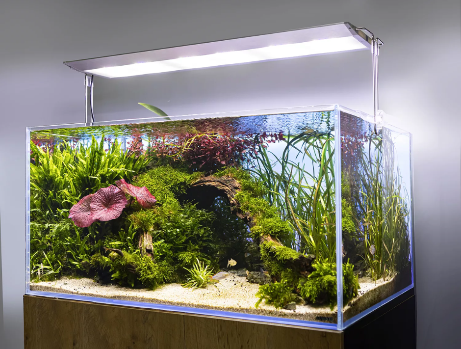 Lampa AQUAEL ULTRA Slim nad akwarium roślinnym