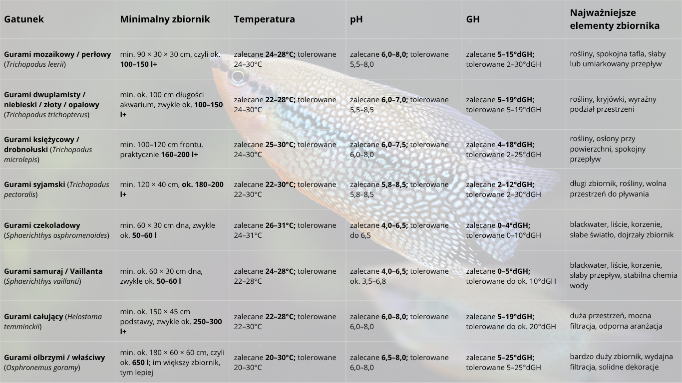 wymagania środowiskowe - Wymagania gurami w&nbsp;akwarium – infografika minimalnego zbiornika, temperatury, pH, GH i&nbsp;warunki dla poszczególnych gatunków