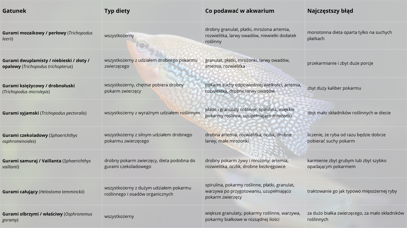 odżywianie - Odżywianie gurami w&nbsp;akwarium – infografika typów diety, zalecanych pokarmów i&nbsp;najczęstszych błędów karmienia.
