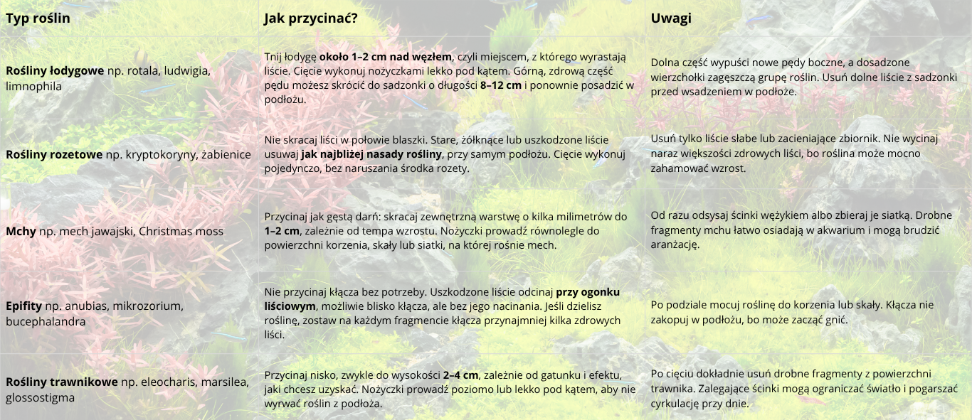 Tabela pokazująca, jak przycinać rośliny akwariowe: łodygowe, rozetowe, mchy, epifity i rośliny trawnikowe